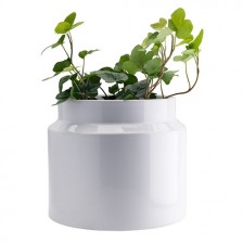 Botan Flower Pot/Vase Large
